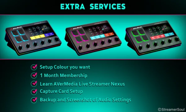 Setup of AVerMedia Live Streamer Nexus ax310 for Single or Dual PC - Image 4
